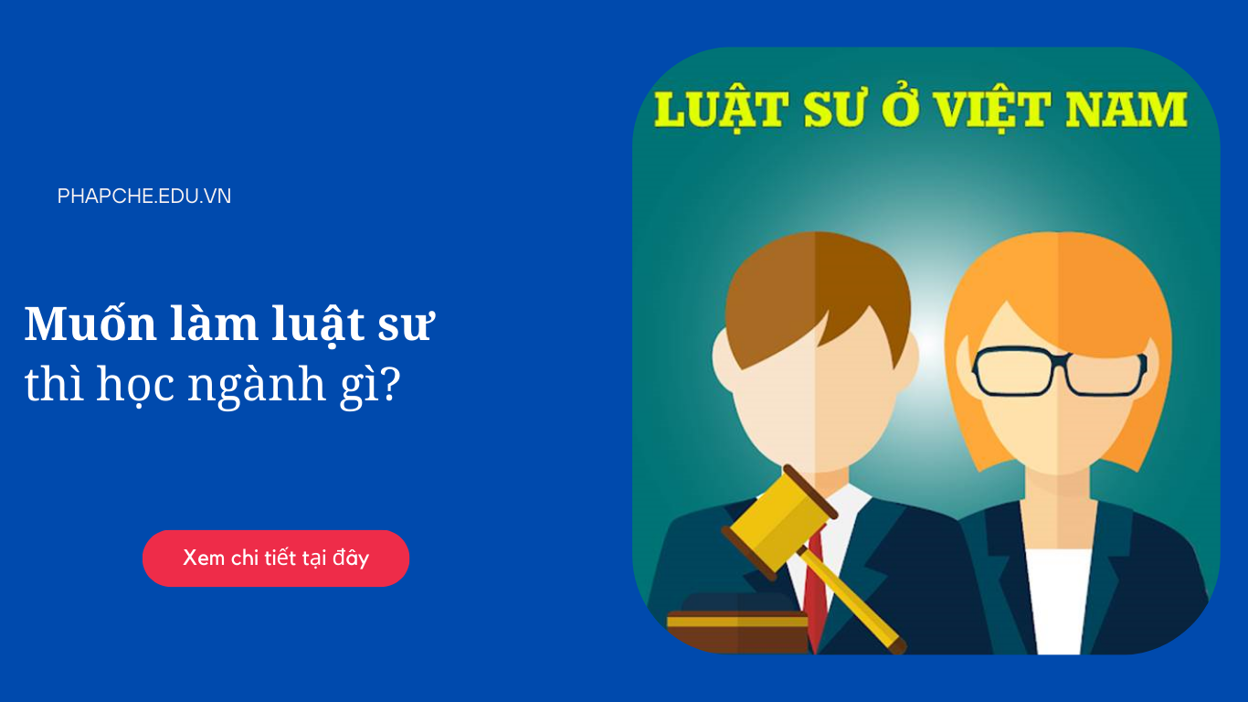 Muốn làm luật sư thì học ngành gì?