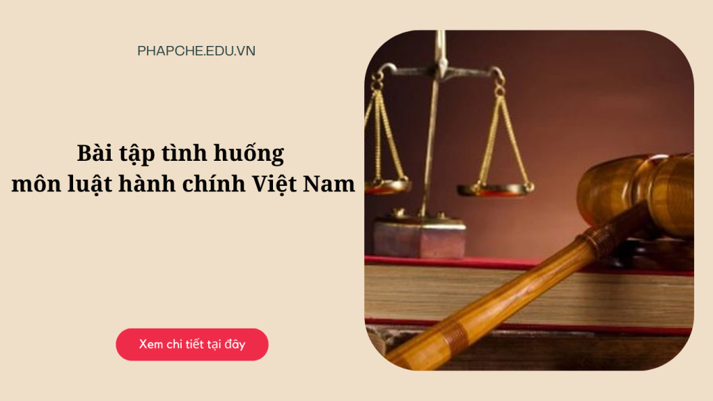 Bài tập tình huống môn luật hành chính Việt Nam