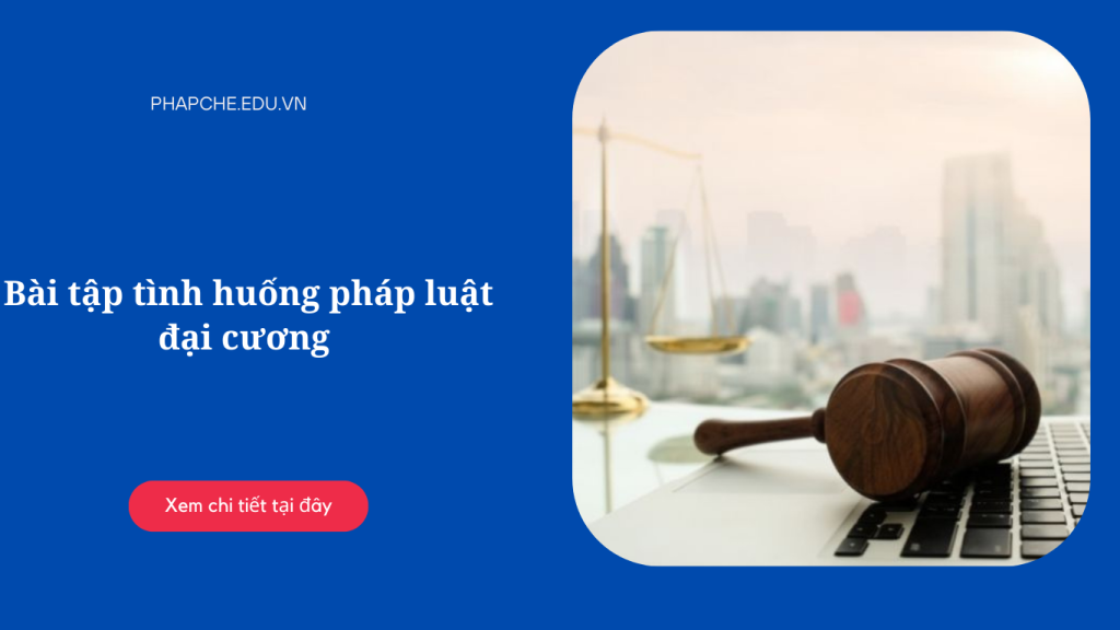 Bài tập tình huống pháp luật đại cương hữu ích cho sinh viên