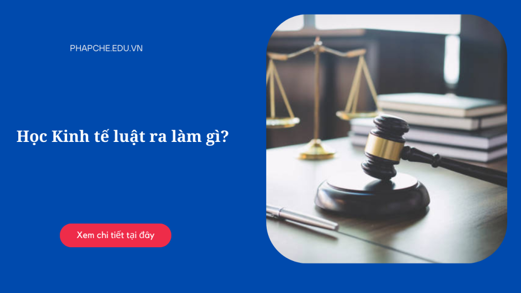 Học Kinh tế luật ra làm gì?