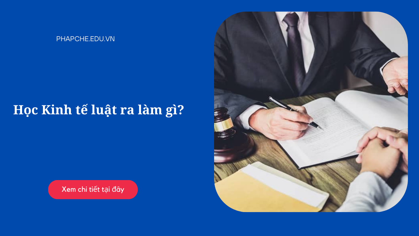 Học Kinh tế luật ra làm gì?