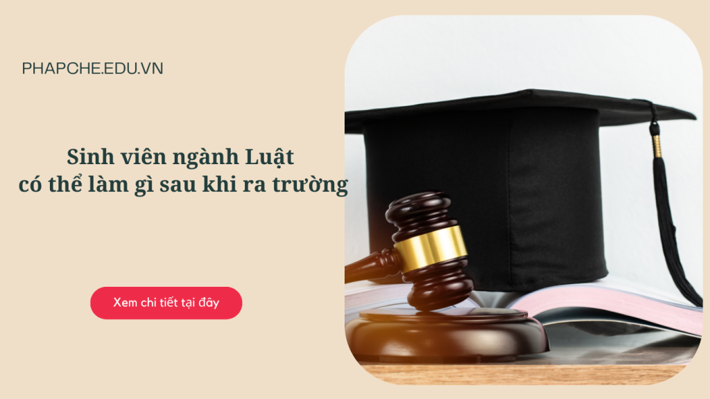 Sinh viên ngành luật có thể làm gì sau khi ra trường?