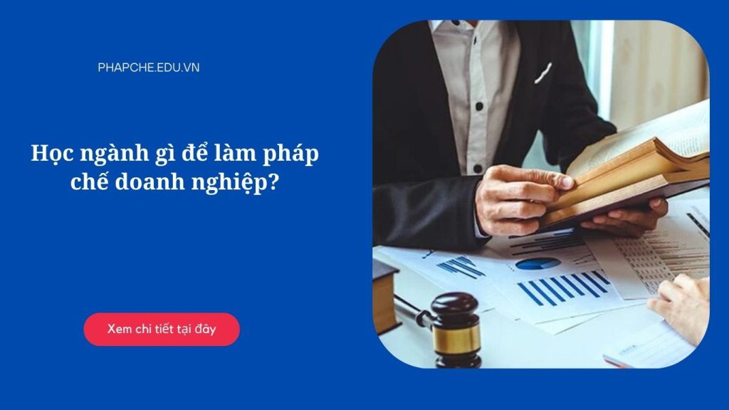 Học ngành gì để làm pháp chế doạnh nghiệp