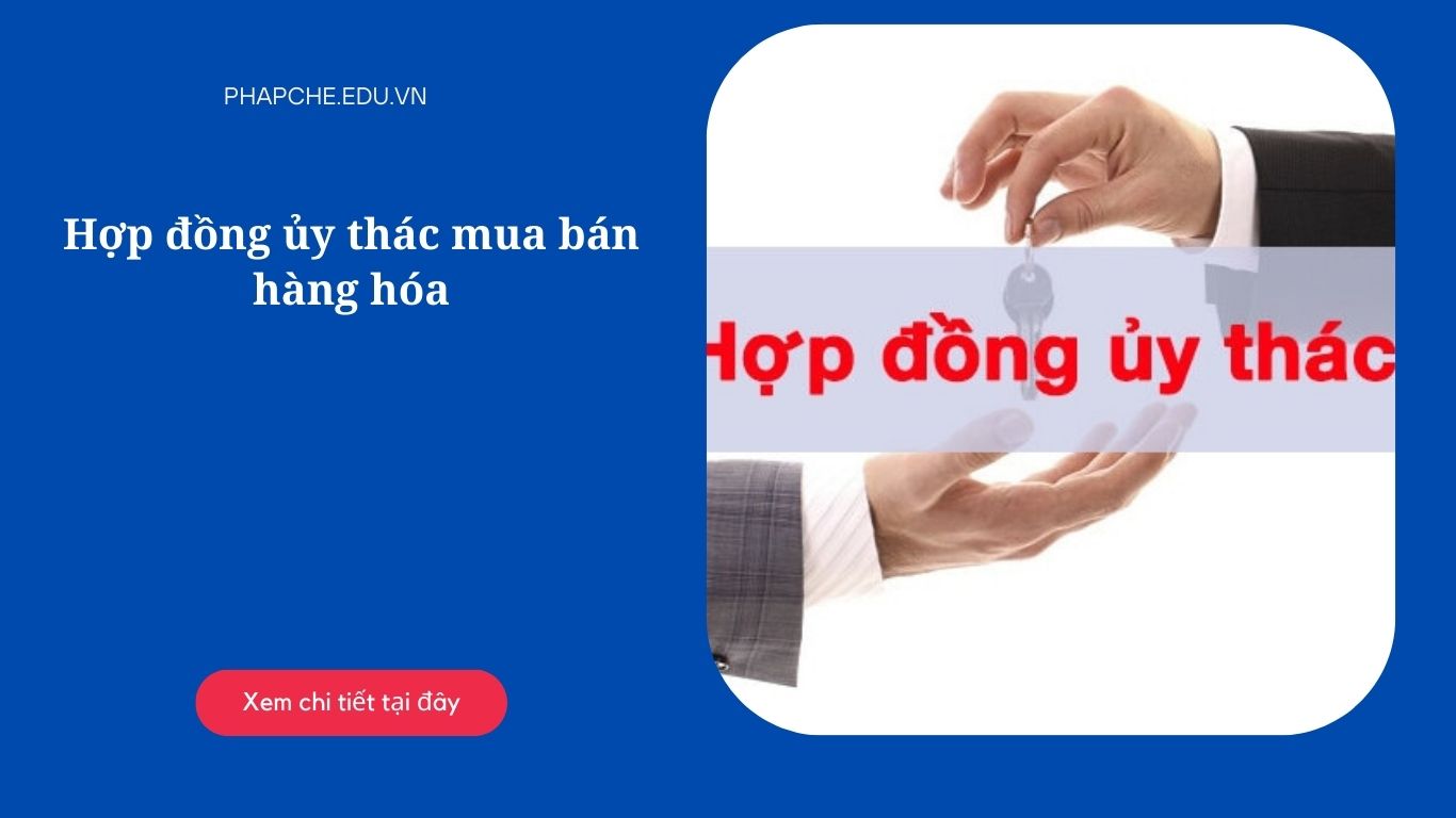 Hợp đồng ủy thác mua bán hàng hóa