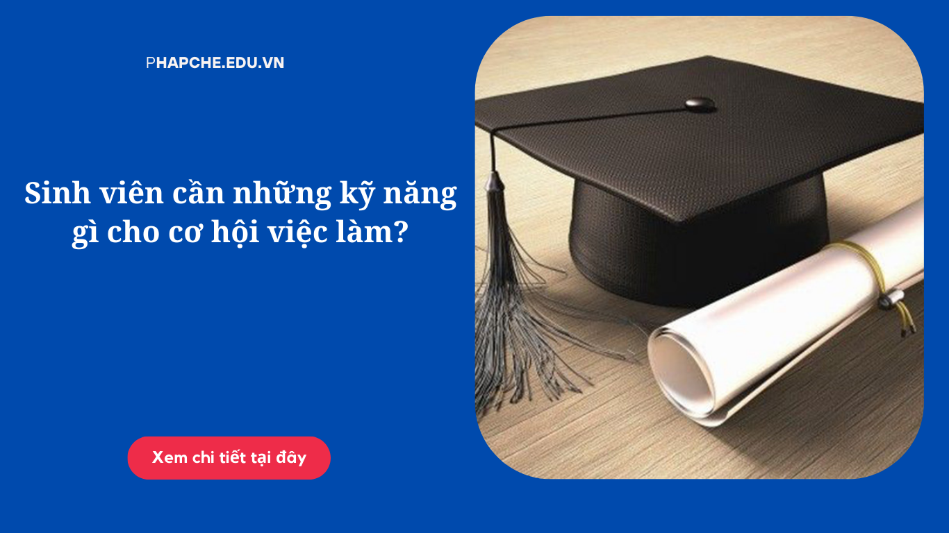 Sinh viên cần những kỹ năng gì cho cơ hội việc làm?