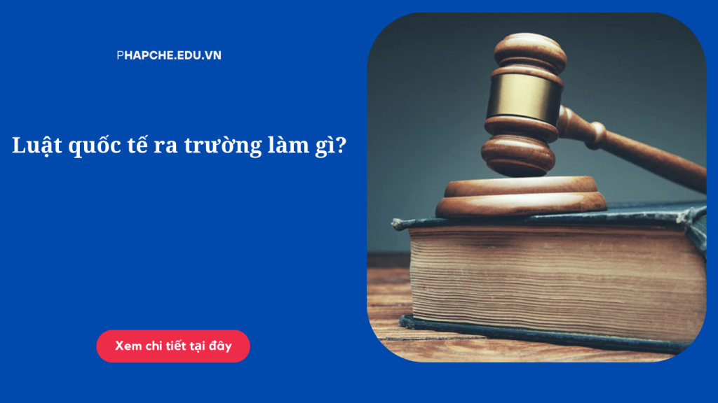 Luật quốc tế ra trường làm gì?