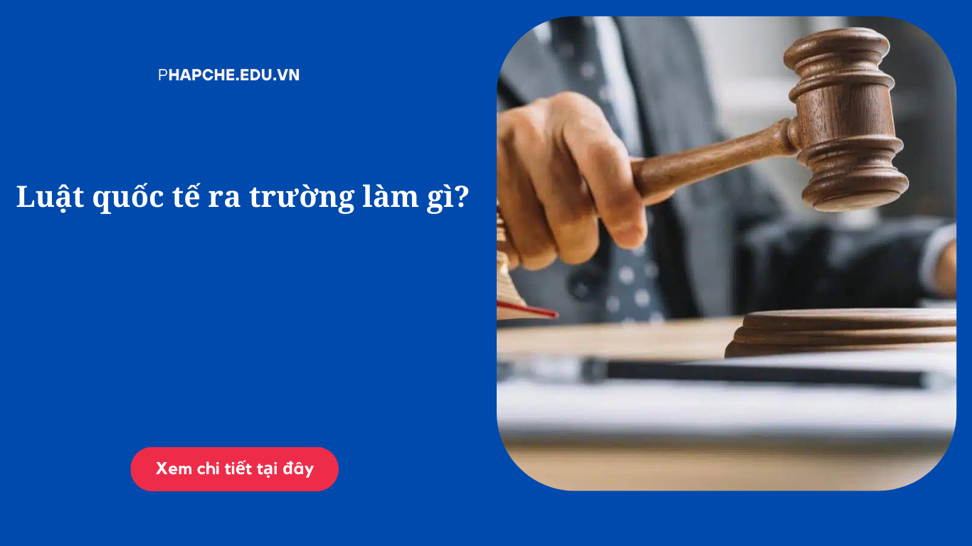 Luật quốc tế ra trường làm gì?