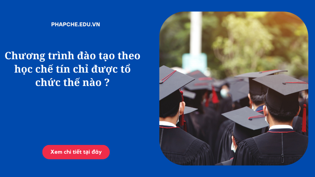 Chương trình đào tạo theo học chế tín chỉ được tổ chức thế nào ?