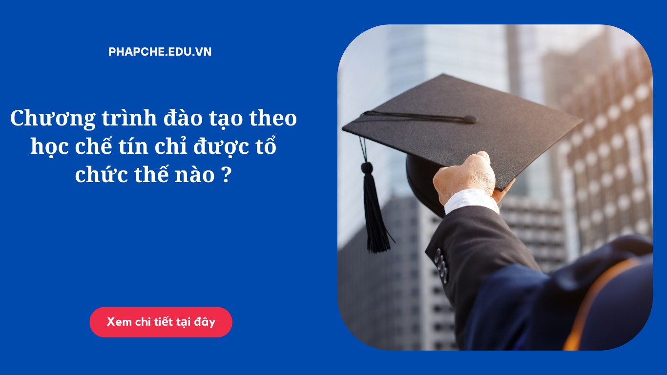 Chương trình đào tạo theo học chế tín chỉ được tổ chức thế nào ?