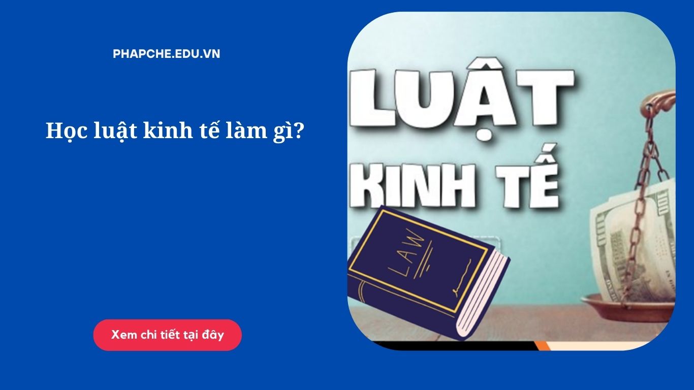 Học luật kinh tế làm gì?