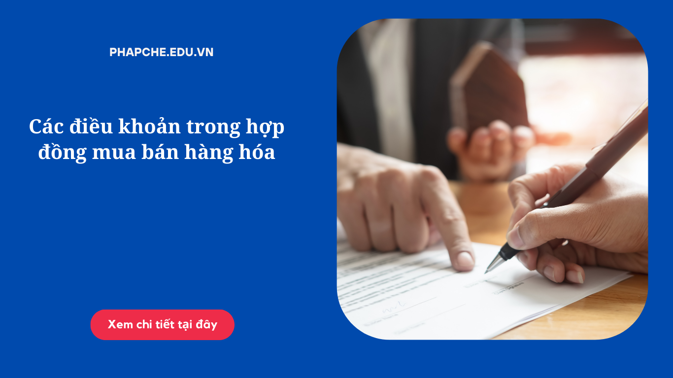 Các điều khoản trong hợp đồng mua bán hàng hóa