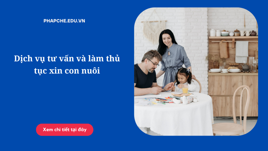 Dịch vụ tư vấn và làm thủ tục xin con nuôi