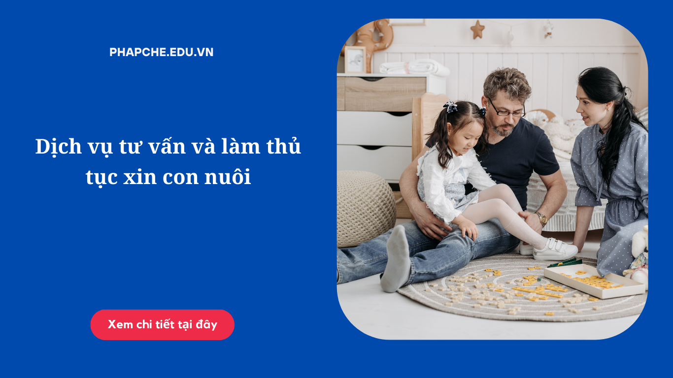 Dịch vụ tư vấn và làm thủ tục xin con nuôi