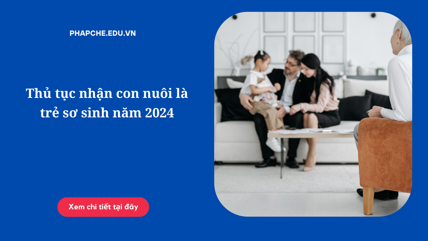 Thủ tục nhận con nuôi là trẻ sơ sinh năm 2024