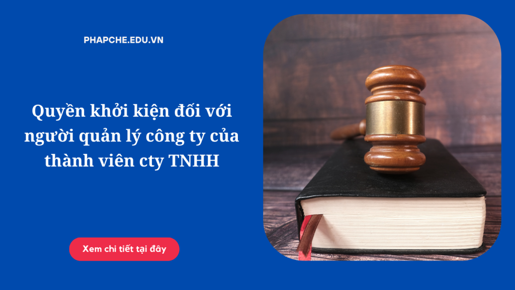 Quyền khởi kiện đối với người quản lý công ty của thành viên cty TNHH