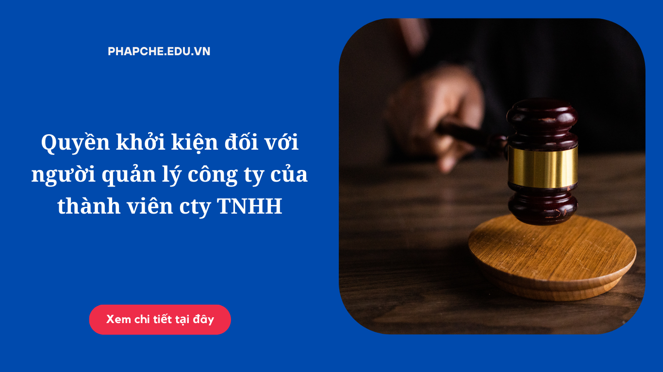 Quyền khởi kiện đối với người quản lý công ty của thành viên cty TNHH