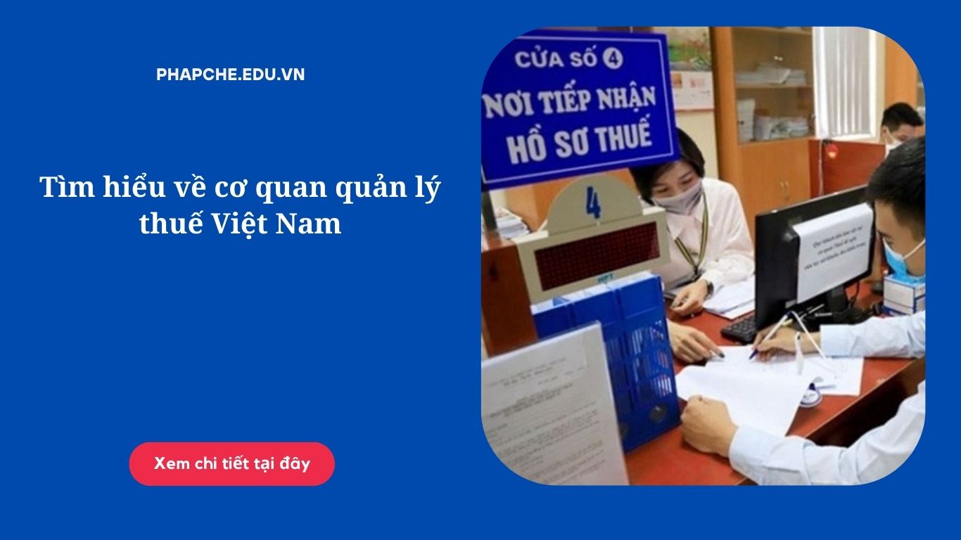 Tìm hiểu về cơ quan quản lý thuế Việt Nam