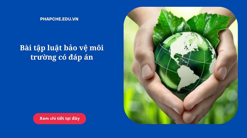 Bài tập luật bảo vệ môi trường có đáp án