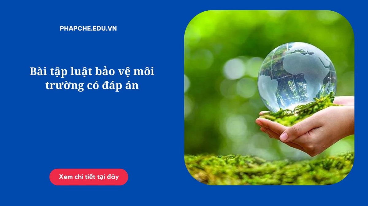 Bài tập luật bảo vệ môi trường có đáp án