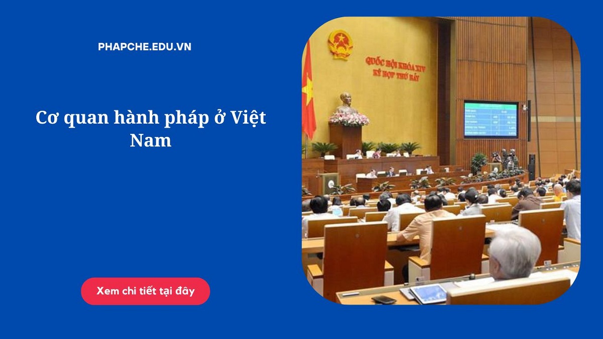 Cơ quan hành pháp ở Việt Nam