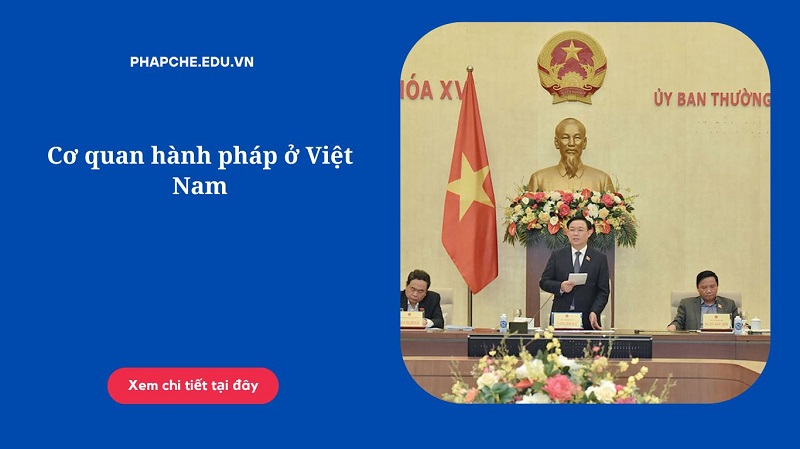 Cơ quan hành pháp ở Việt Nam