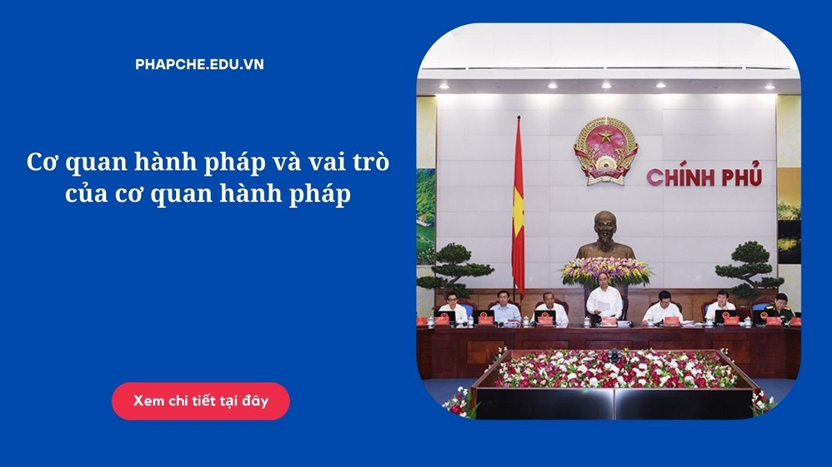 Cơ quan hành pháp và vai trò của cơ quan hành pháp