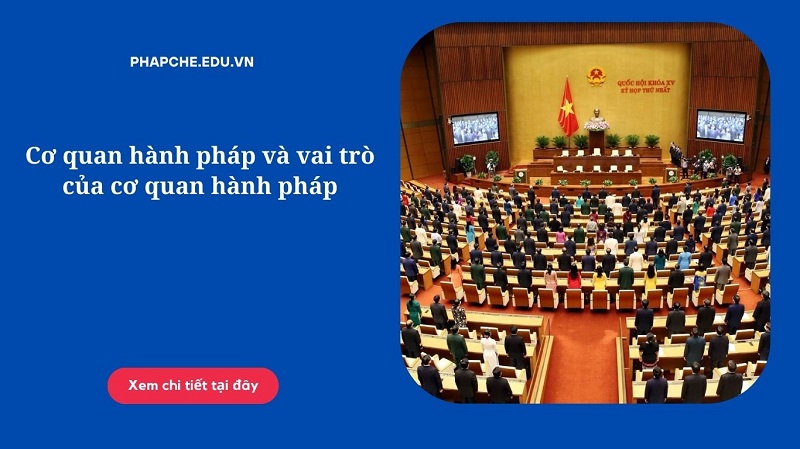 Cơ quan hành pháp và vai trò của cơ quan hành pháp