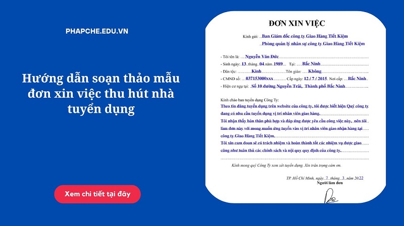 Hướng dẫn soạn thảo mẫu đơn xin việc thu hút nhà tuyển dụng