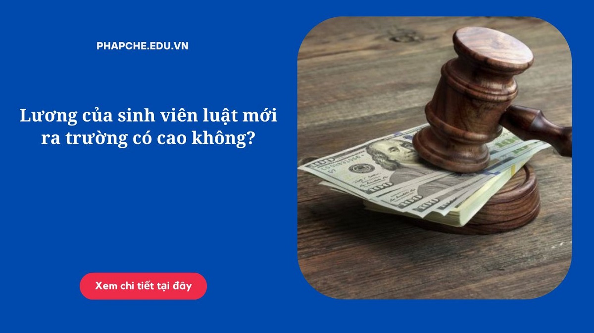 Lương của sinh viên luật mới ra trường có cao không?