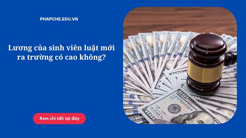 Lương của sinh viên luật mới ra trường có cao không?