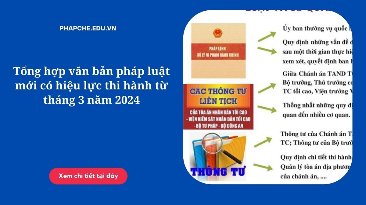 Tổng hợp văn bản pháp luật mới có hiệu lực thi hành từ tháng 3 năm 2024