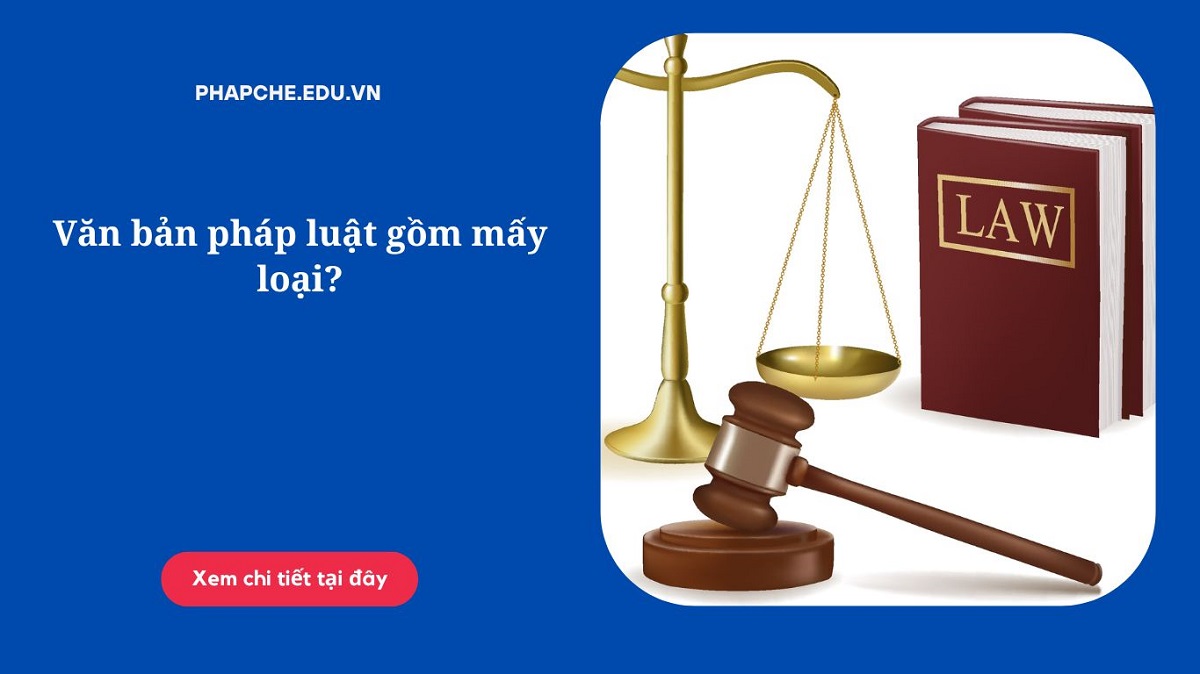 Văn bản pháp luật gồm mấy loại?