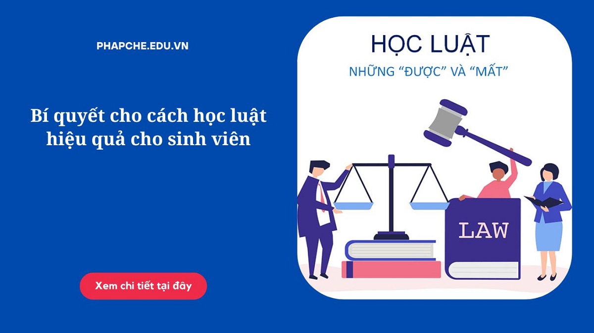 Bí quyết cho cách học luật hiệu quả cho sinh viên