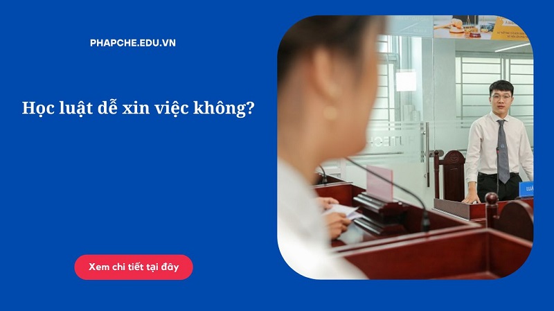 Học luật dễ xin việc không?