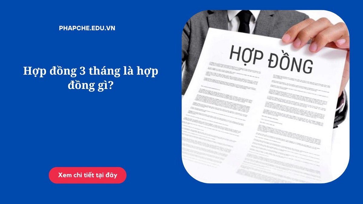 Hợp đồng 3 tháng là hợp đồng gì?