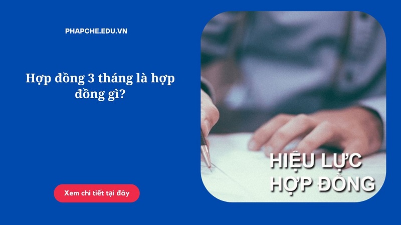 Hợp đồng 3 tháng là hợp đồng gì?