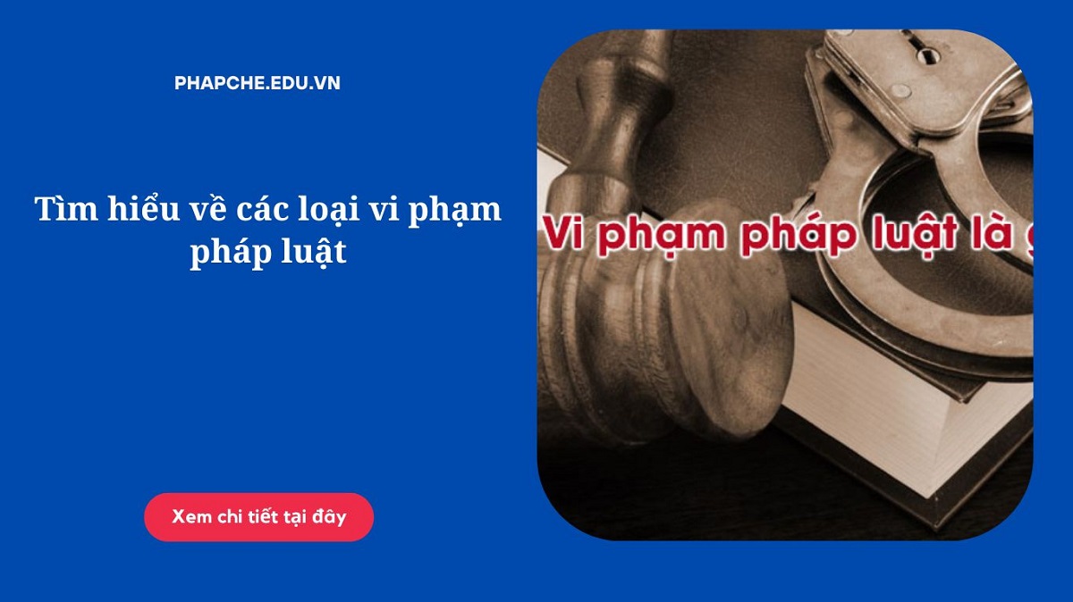 Tìm hiểu về các loại vi phạm pháp luật