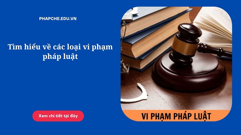 Tìm hiểu về các loại vi phạm pháp luật