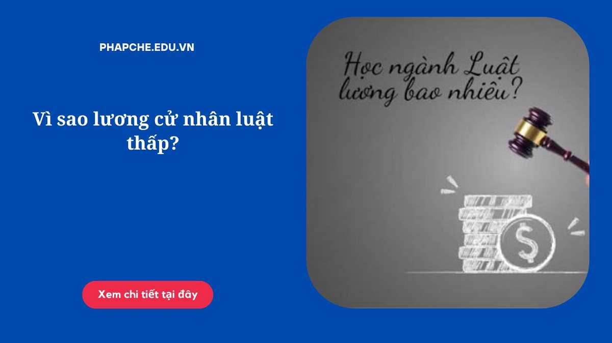 Vì sao lương cử nhân luật thấp?