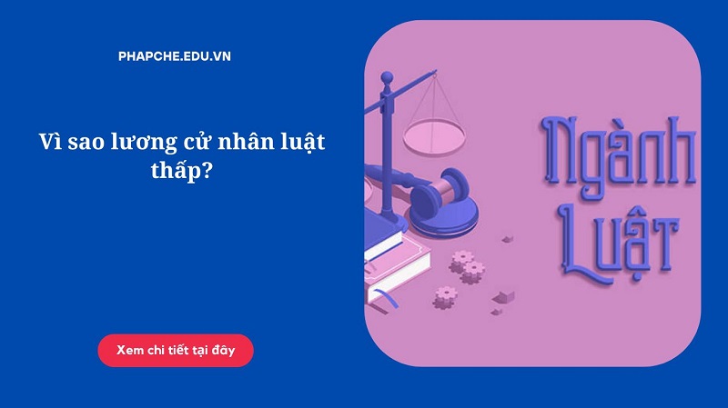 Vì sao lương cử nhân luật thấp?