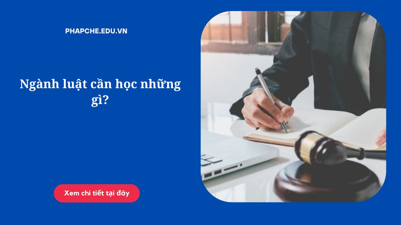 Ngành luật cần học những gì?