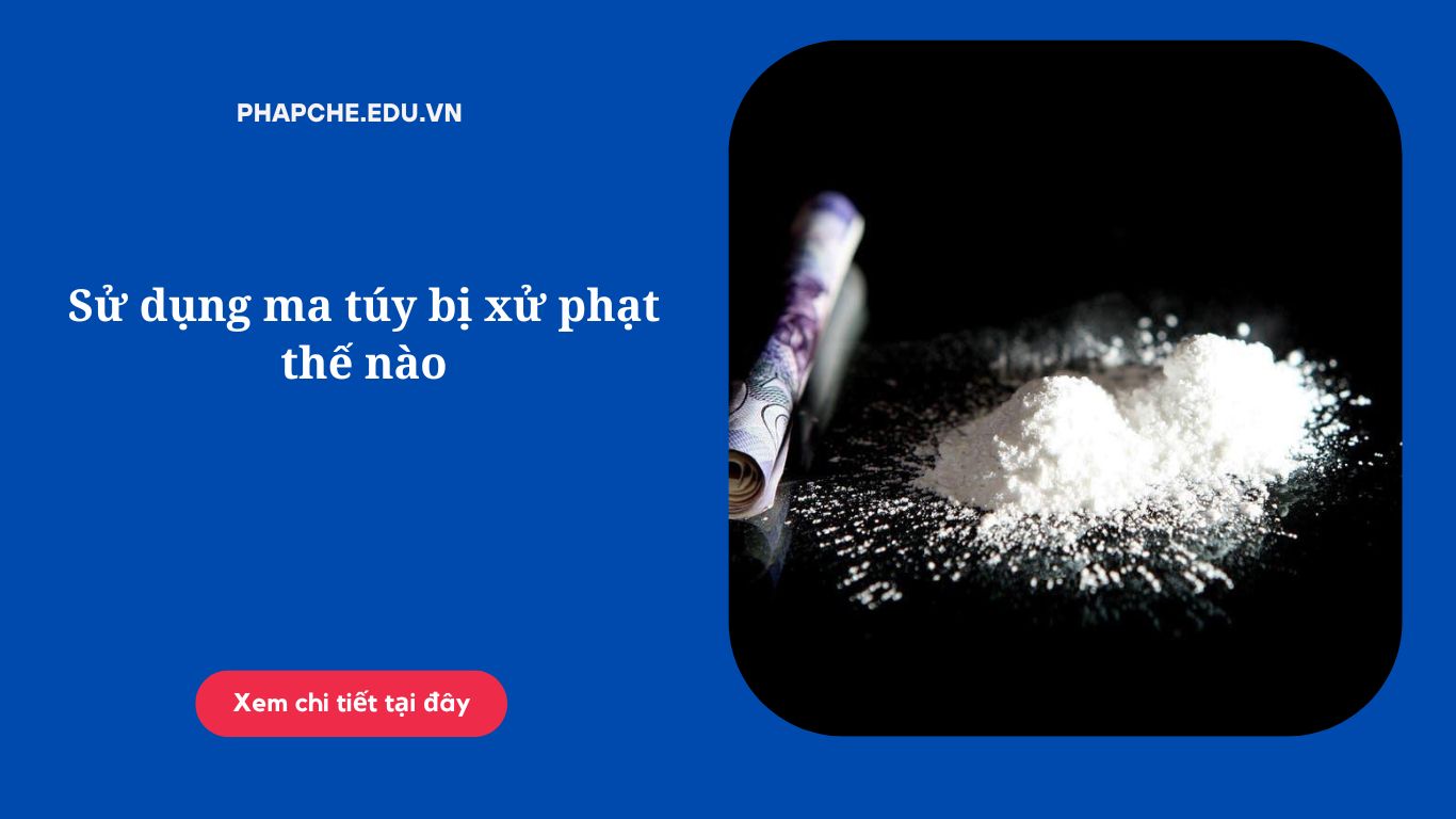 Sử dụng ma túy bị xử phạt thế nào;