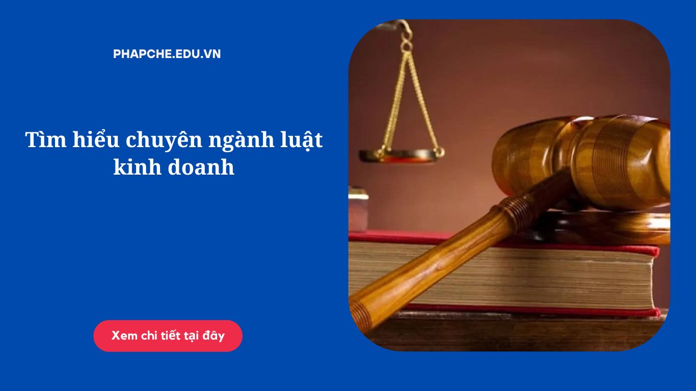 Tìm hiểu chuyên ngành luật kinh doanh