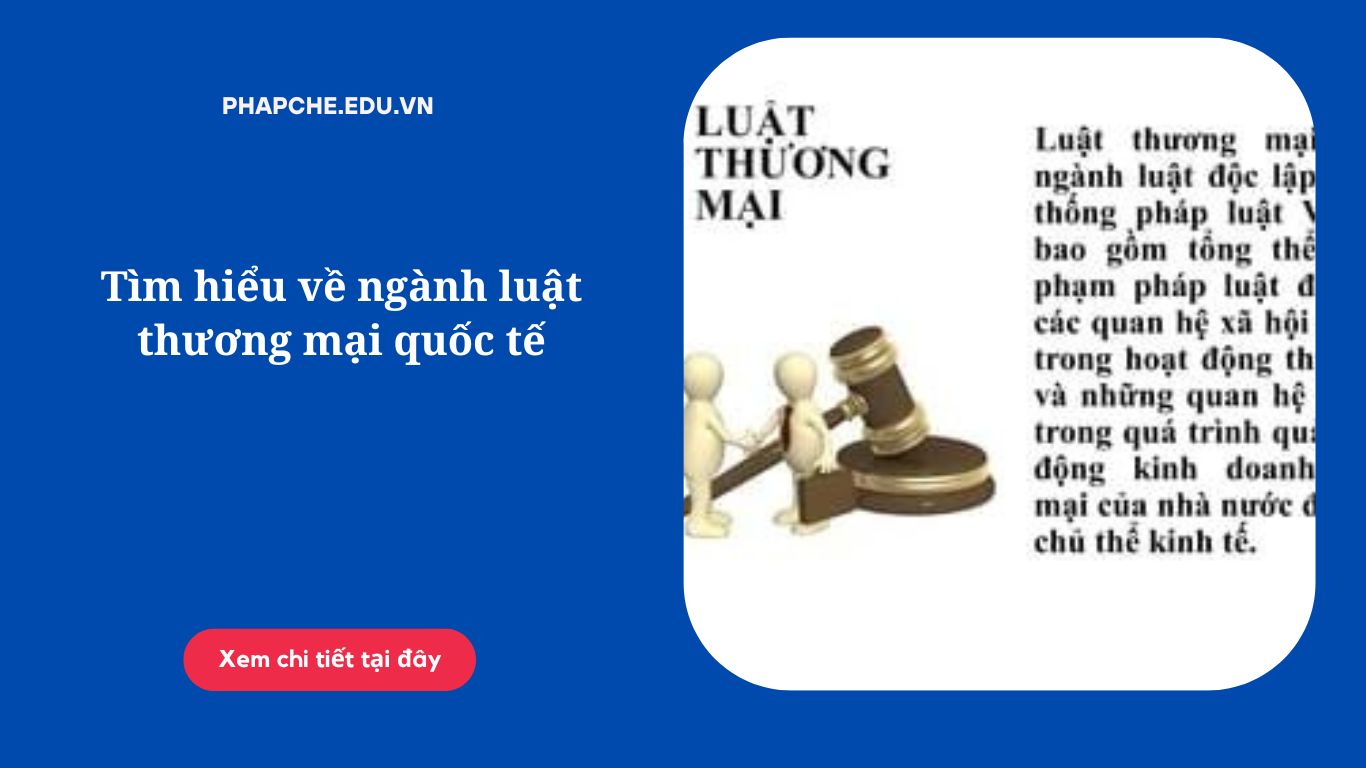 Tìm hiểu về ngành luật thương mại quốc tế