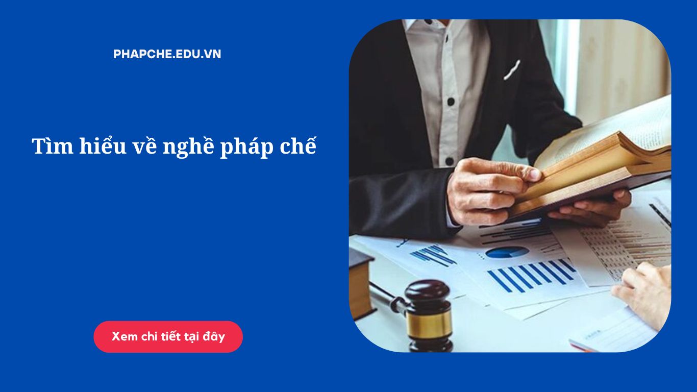 Tìm hiểu về nghề pháp chế