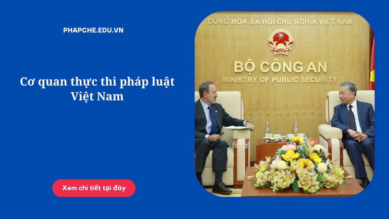 Cơ quan thực thi pháp luật Việt Nam