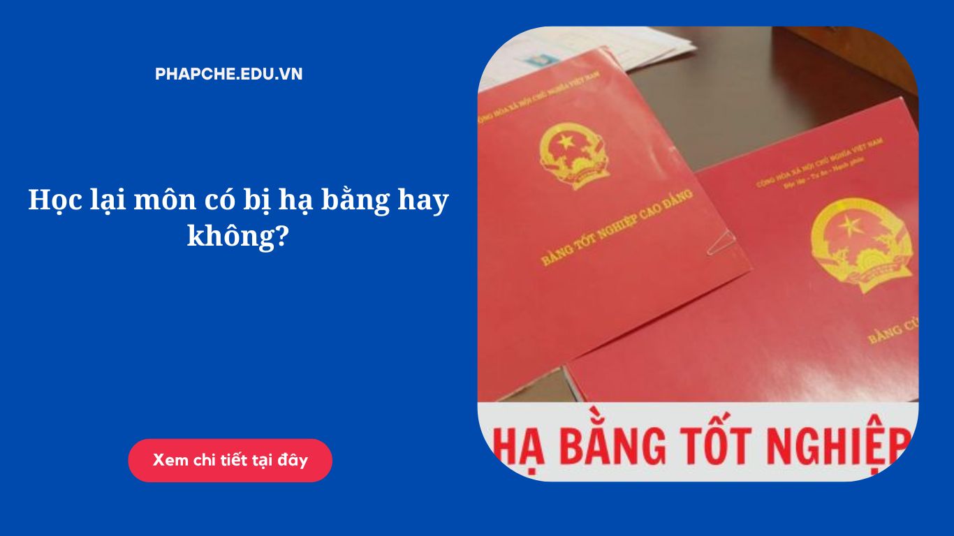 Học lại môn có bị hạ bằng hay không?