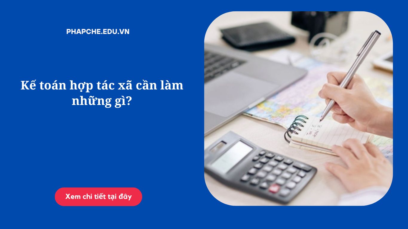 Kế toán hợp tác xã cần làm những gì?