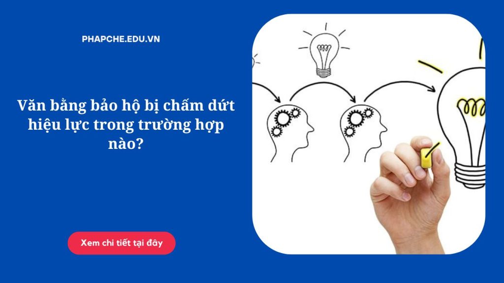 Chấm dứt hiệu lực văn bằng bảo hộ trong trường hợp nào?