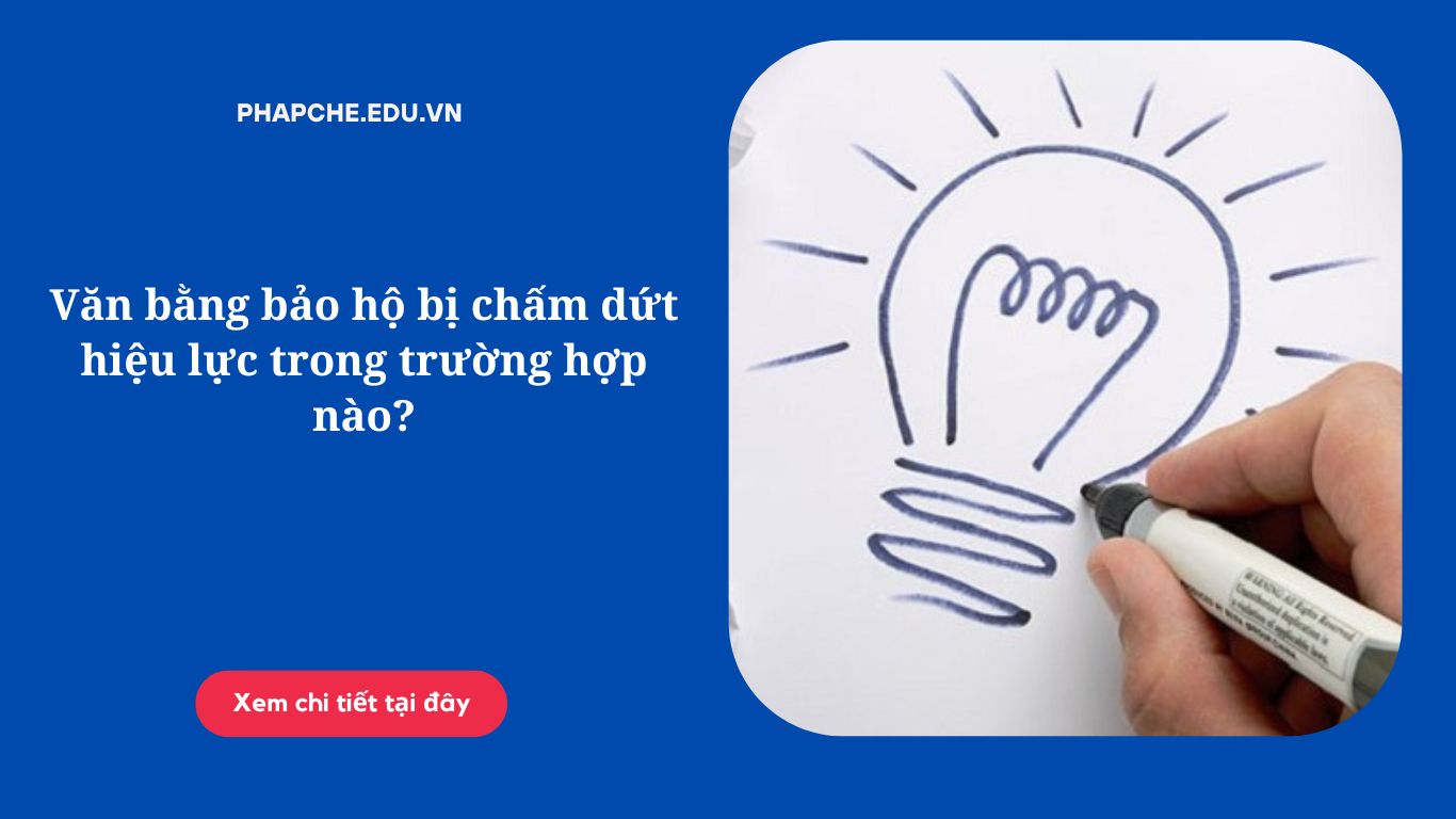 Chấm dứt hiệu lực văn bằng bảo hộ trong trường hợp nào?